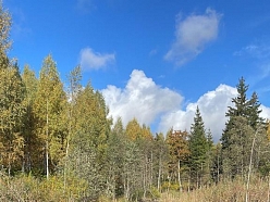 Grāvju tīrīšana