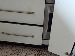 Kaitēkļu iznīcināšanas pakalpojumi