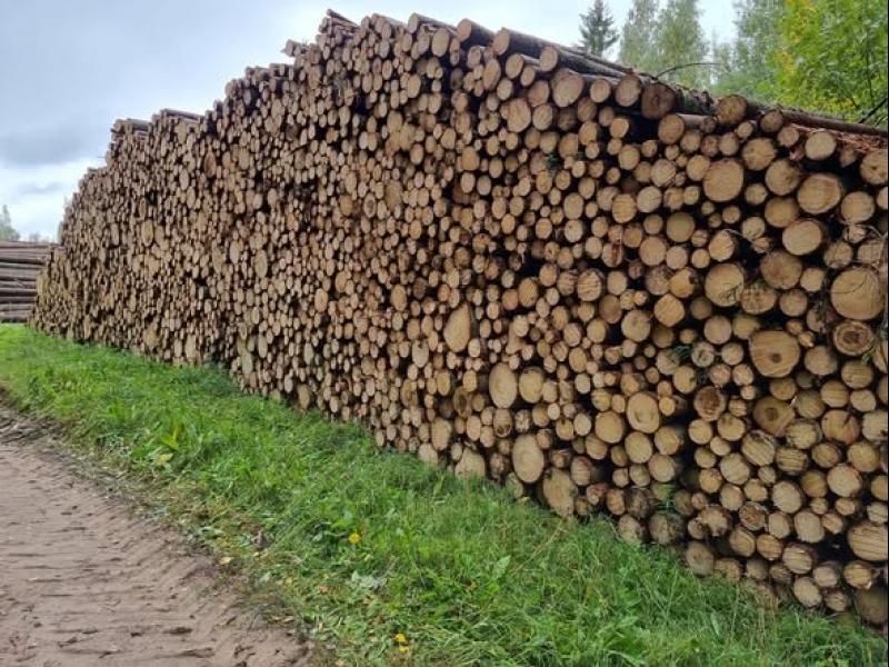 Kokmateriālu transportēšana