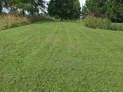 Pļaušanas darbi