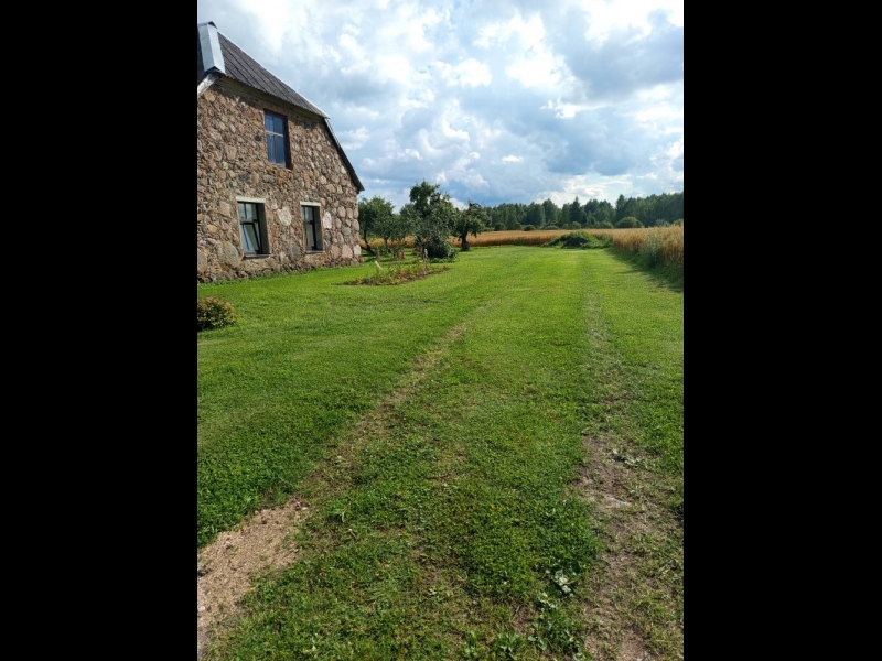 Pļaušana