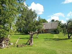 Pļaušana un trimmerēšana