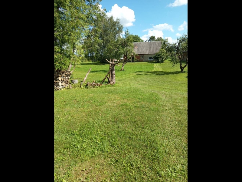 Pļaušana un trimmerēšana