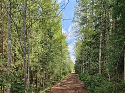 Meža ipašumu pirkšana Vidzemē