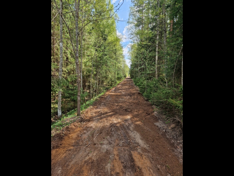 Meža ipašumu pirkšana Vidzemē