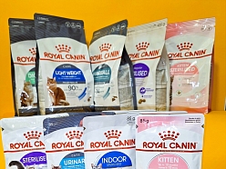 ROYAL CANIN kaķiem