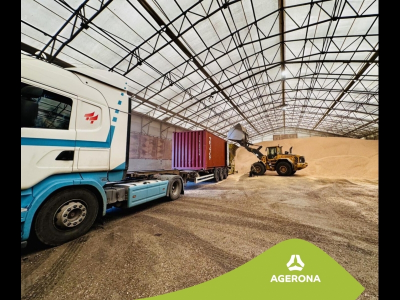 Graudu iepirkšana Latvijā