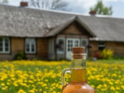 Pieneņu dzēriens pudelē – dabīgs veselības eliksīrs no Latvijas pļavām