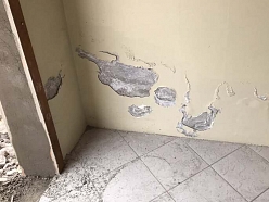 Damp Detectives sienu diagnostika