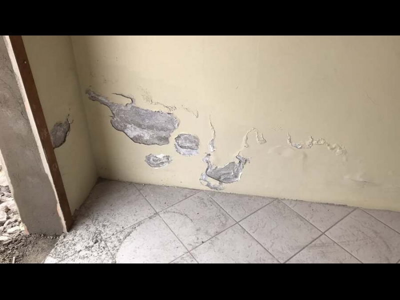 Damp Detectives sienu diagnostika