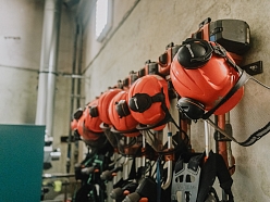 Jaunaudžu kopšana un meža apsaimniekošana Kurzemē