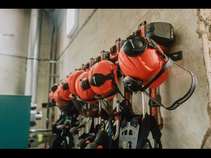 Jaunaudžu kopšana un meža apsaimniekošana Kurzemē