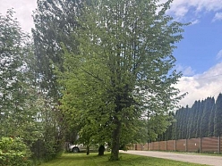 Zāles pļaušanas darbi