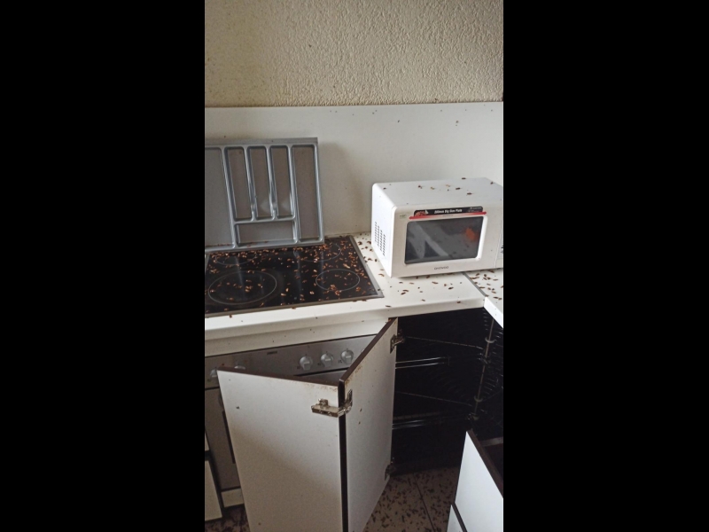 Profesionāla kaitēkļu kontrole