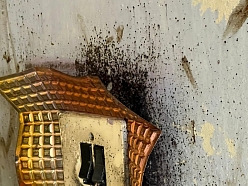 Individuāli kaitēkļu plāni