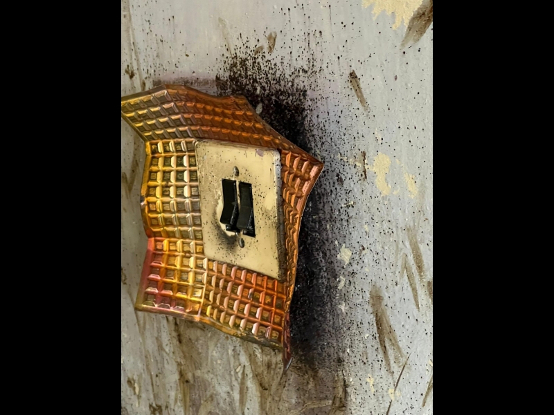 Individuāli kaitēkļu plāni