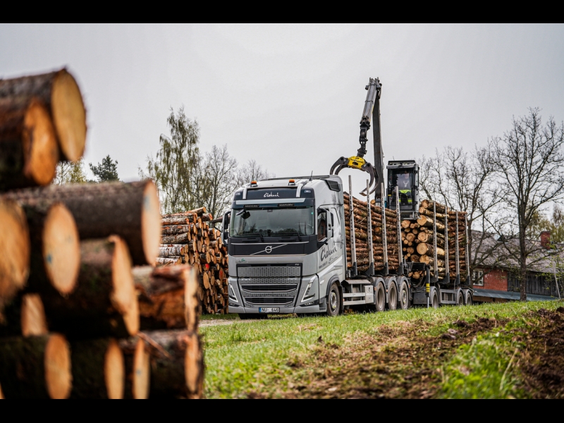 meža īpašumu apsaimniekošana