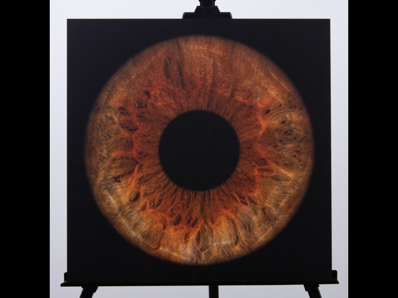 Augstas kvalitātes acs foto uz metāla gleznas