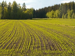 Lauksaimnieciskie pakalpojumi