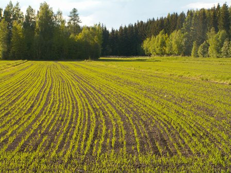 Lauksaimnieciskie pakalpojumi