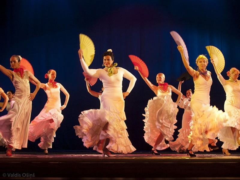 Deju apmācība: flamenko, vēderdeja