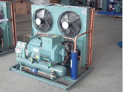 Bitzer aircooled condensing max-cool