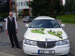 Kāzu mašīnas dekori Ogrē
