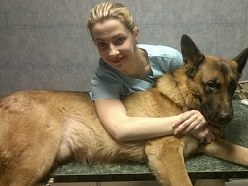 veterinārā klīnika
