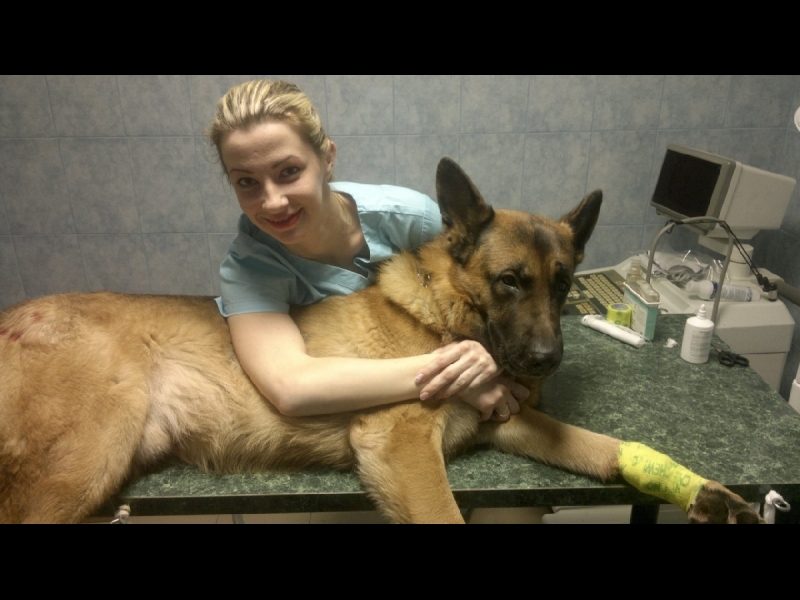 veterinārā klīnika