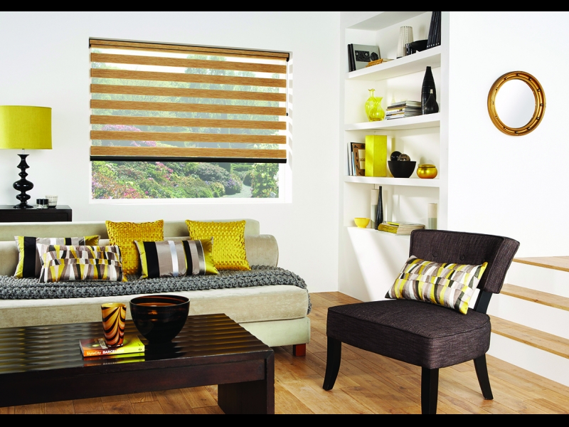 Dienas-nakts rullo žalūzijas