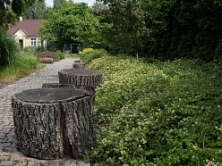 Ainavu arhitektūra