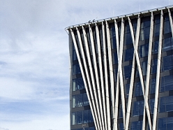 Universitātes teritorijas apzaļumošana