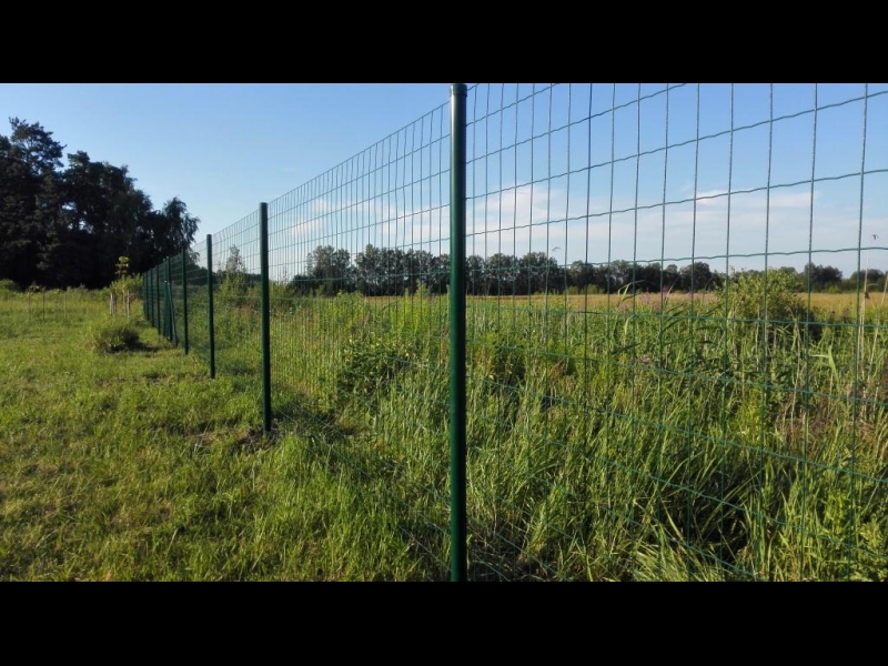 Metinātais žogs rullos