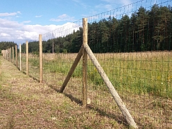 Metināts žogs lauksaimniecības