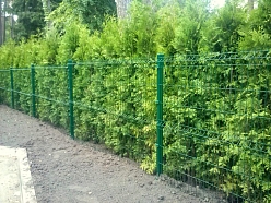 Paneļu žogs h1500