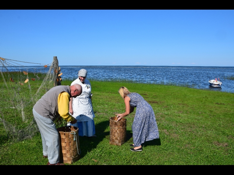 Dieniņas, lauku māja