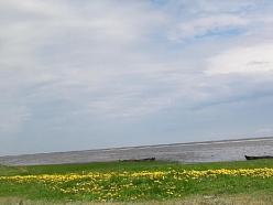 Dieniņas, lauku māja