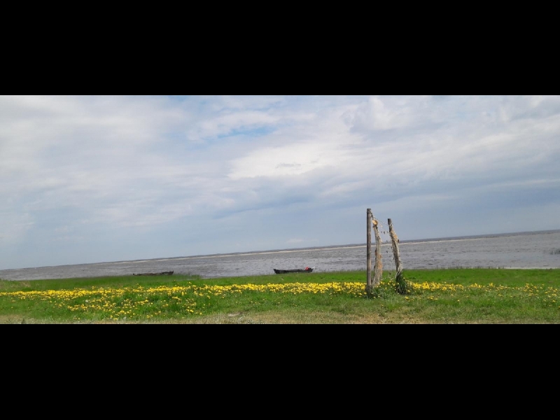 Dieniņas, lauku māja