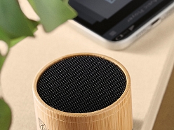 Bungala, SIA, prezentreklāma