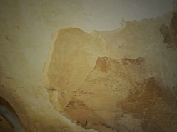 Damp Detectives mitruma bojājumi