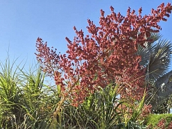 Ceļasoma.lv ceļojums