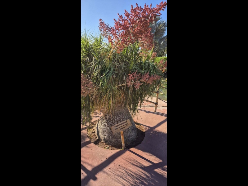 Ceļasoma.lv ceļojums