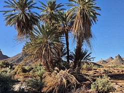 Ceļasoma.lv ceļojums