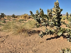 Ceļasoma.lv ceļojums