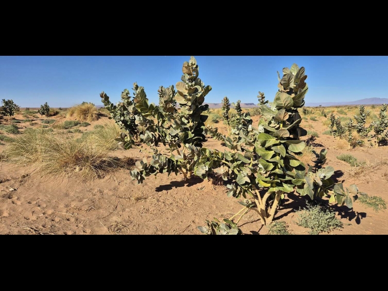 Ceļasoma.lv ceļojums