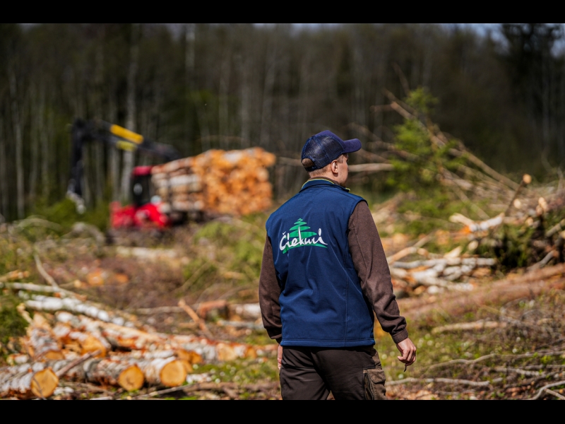 Meža īpašumu pirkšana