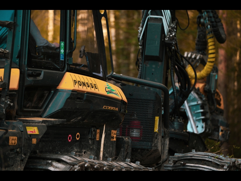 Meža apsaimniekošana