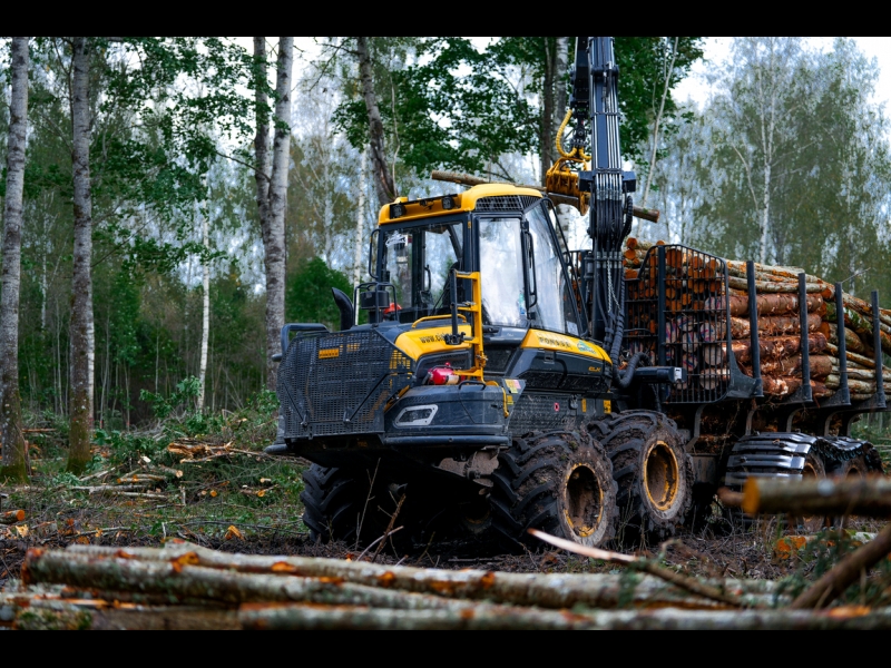 Koku transportēšana