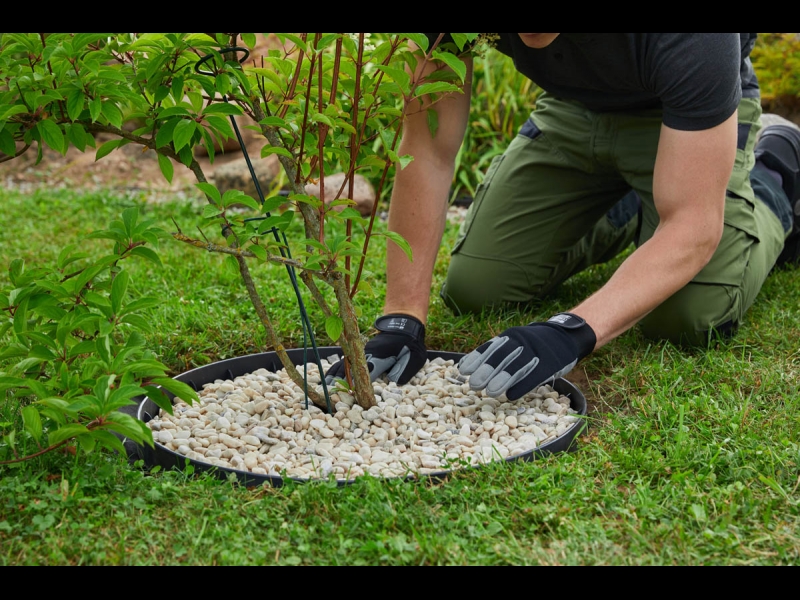 Mulčas pielietojums