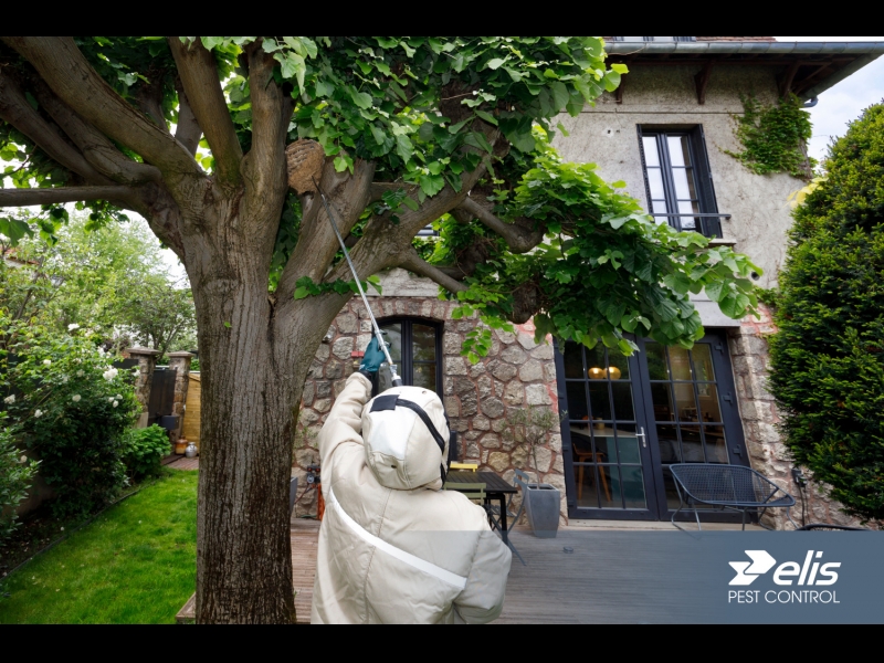 Elis Pest Control